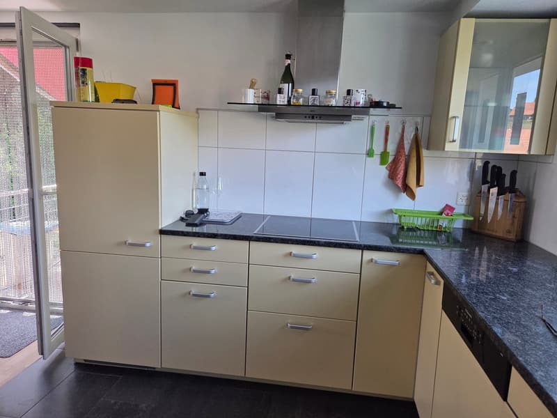 Einfamilienhaus mit grosszügiger Terrasse und neuem Unterstand (6)