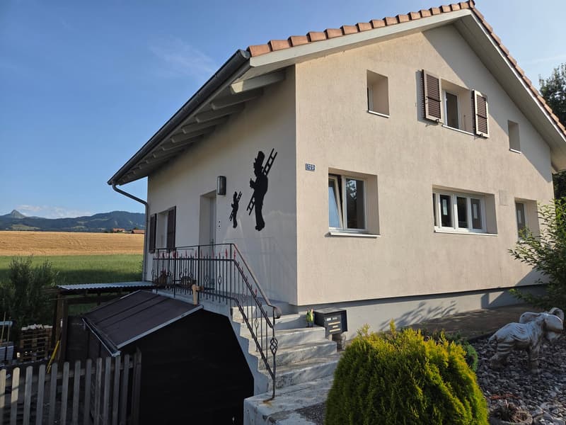 Einfamilienhaus mit grosszügiger Terrasse und neuem Unterstand (1)