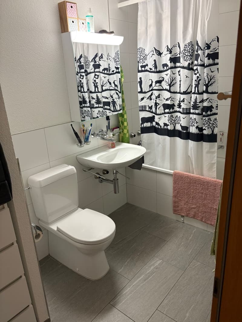 Helle 4.5-Zimmer-Wohnung mit Balkon an zentraler Lage (5)