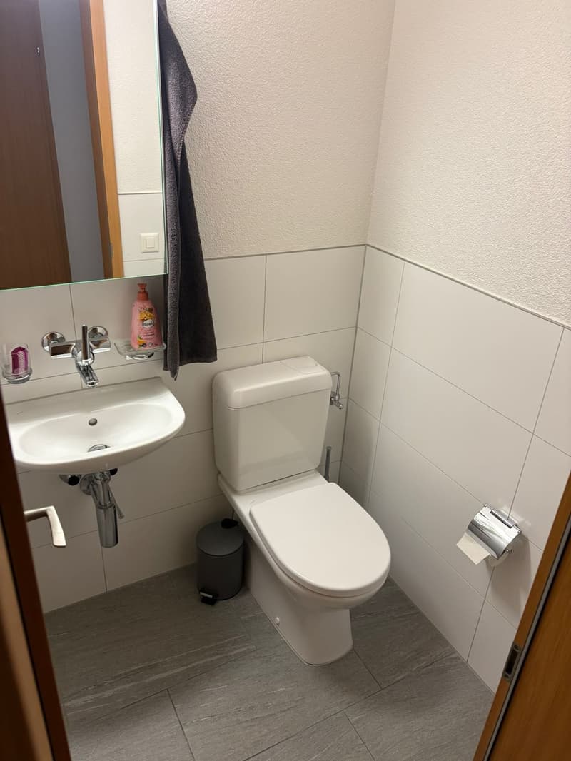 Helle 4.5-Zimmer-Wohnung mit Balkon an zentraler Lage (7)