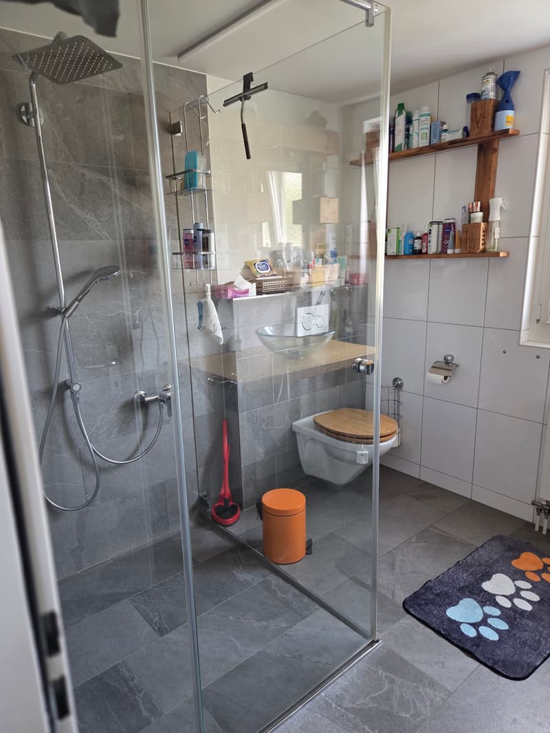 Charmantes Einfamilienhaus mit grosszügigem Grundstück und Blick in die Gantrischkette (10)