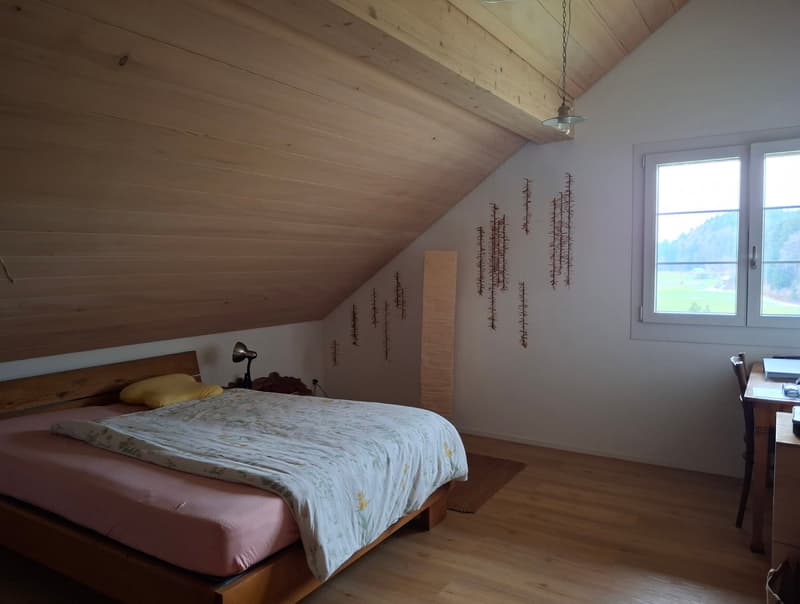 Moderne, helle 2.5-Zimmer Dachwohnung (4)