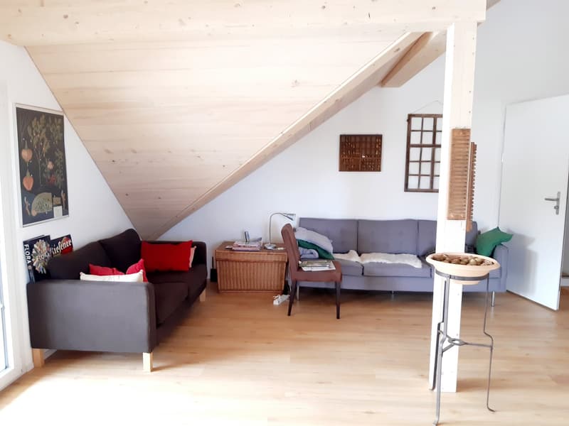 Moderne, helle 2.5-Zimmer Dachwohnung (3)