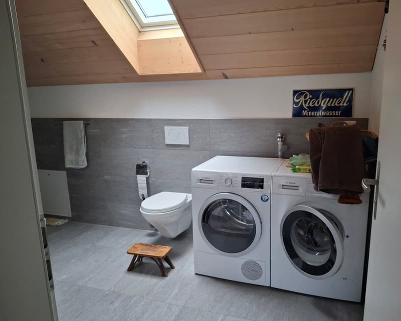 Moderne, helle 2.5-Zimmer Dachwohnung (5)
