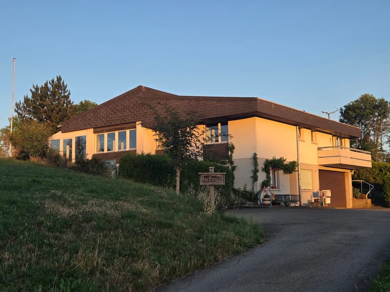 Künftiges Zuhause "Villa Grüebli" mit Panoramablick (1)