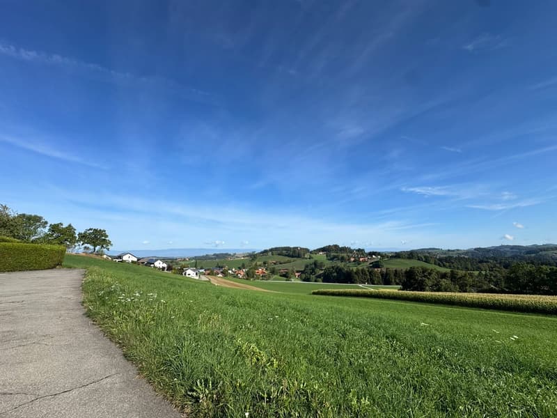 Künftiges Zuhause "Villa Grüebli" mit Panoramablick (18)
