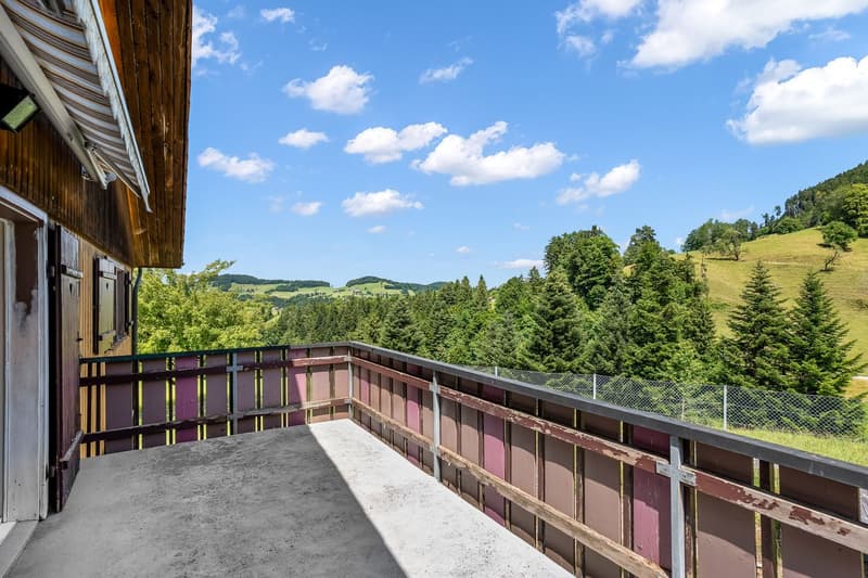 Questa perla immobiliare è un'oasi unica e da sogno nella natura (3)