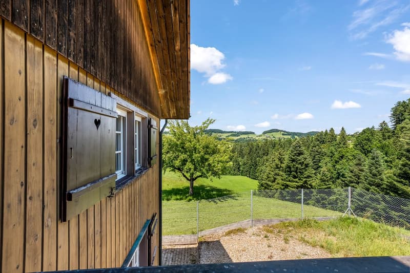 Questa perla immobiliare è un'oasi unica e da sogno nella natura (4)