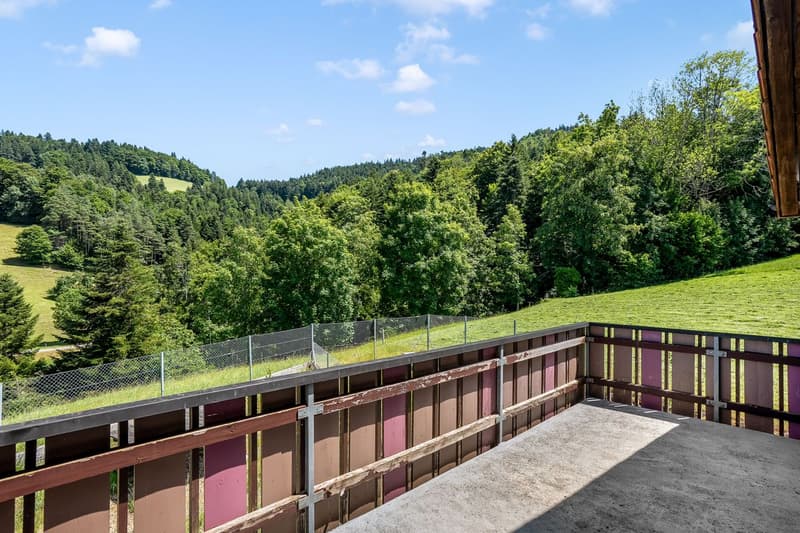 Questa perla immobiliare è un'oasi unica e da sogno nella natura (2)