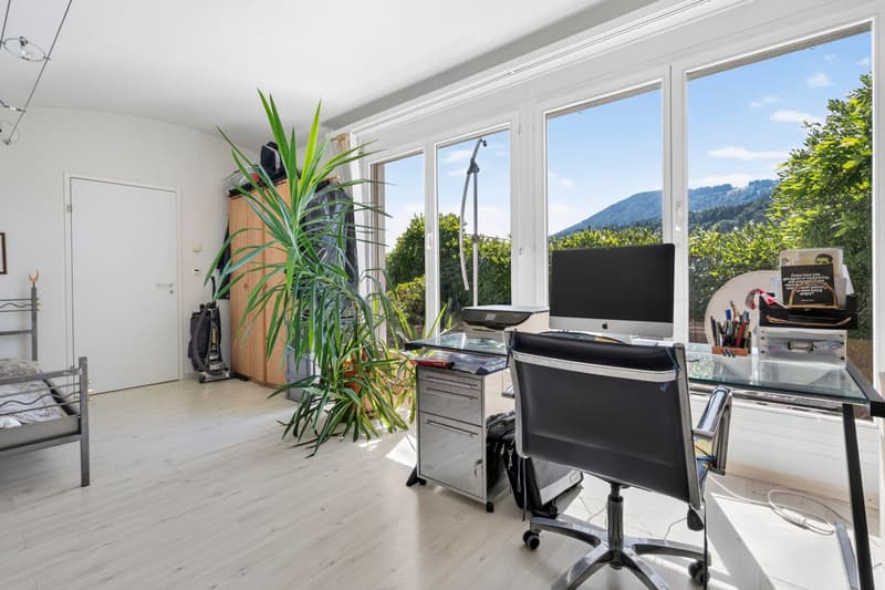 Top of Wilen b. Wollerau (10)