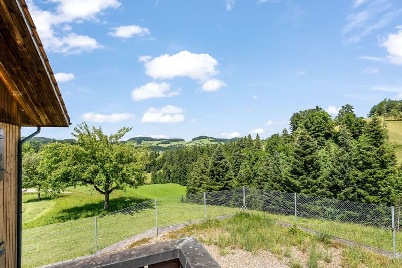 Diese Immobilien-Perle ist eine traumhafte und einzigartige Oase in der Natur (1)