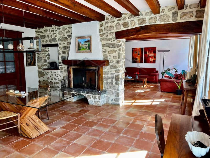 Charming Village House (7)