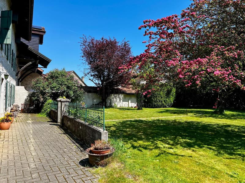 Charming Village House (3)