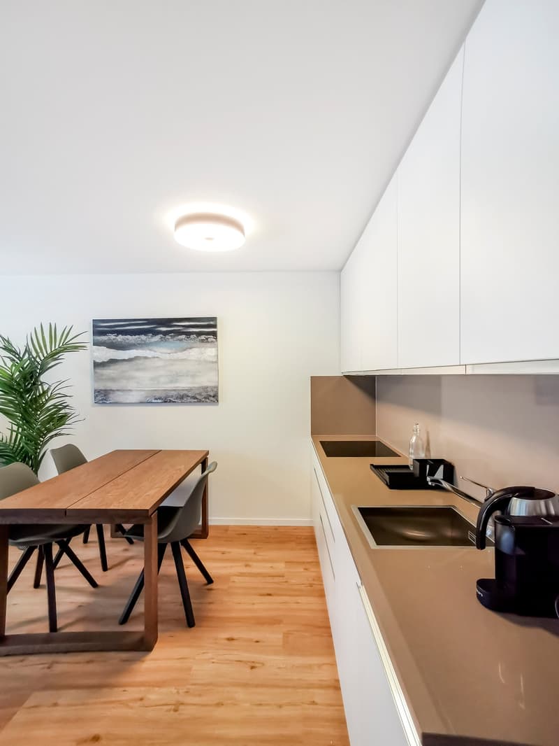 Furnished 2-room apartment with balcony in the center of Lucerne – available from September 2026 (3)