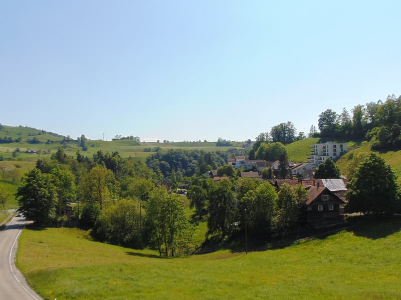 5.5-Zimmer-Wohnung - modern, grosszügig und hell (12)