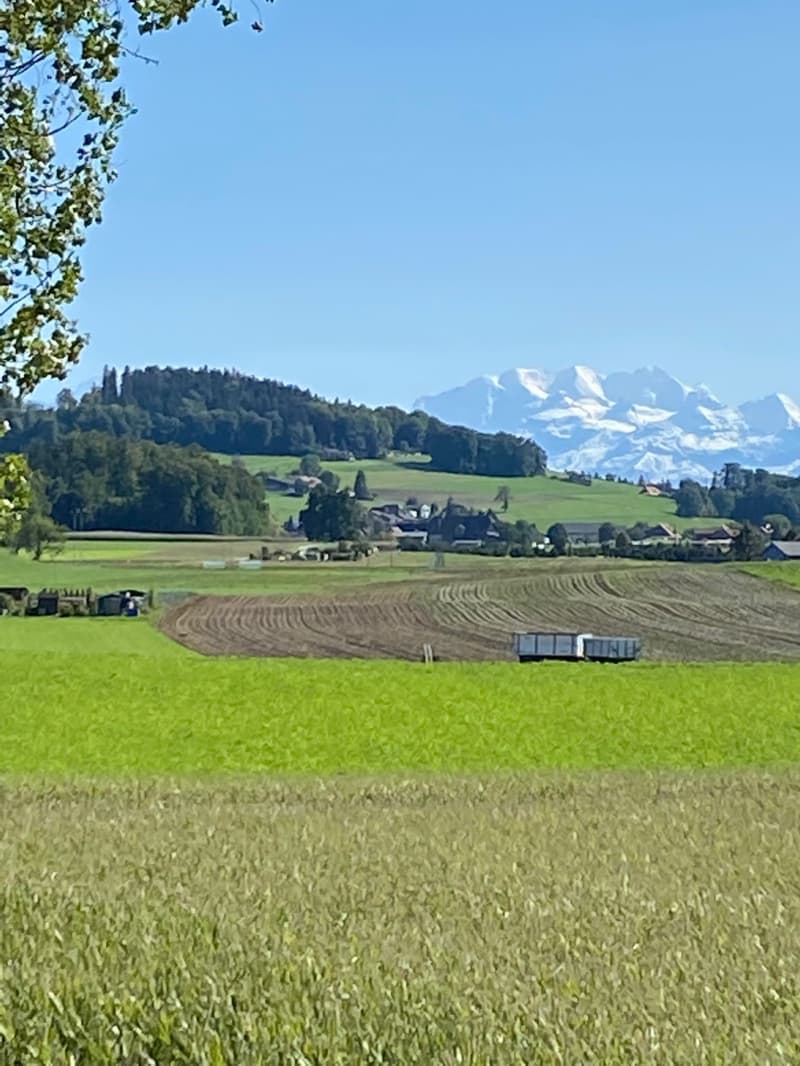 Charmante 3.5-Zimmer-Wohnung mit herrlicher Aussicht in Worb (8)