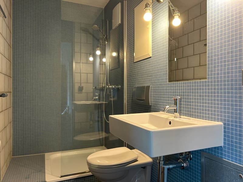 Moderne 3 1/2-Zimmer-Erdgeschoss-Loftwohnung mit Balkon in Steffisburg (5)