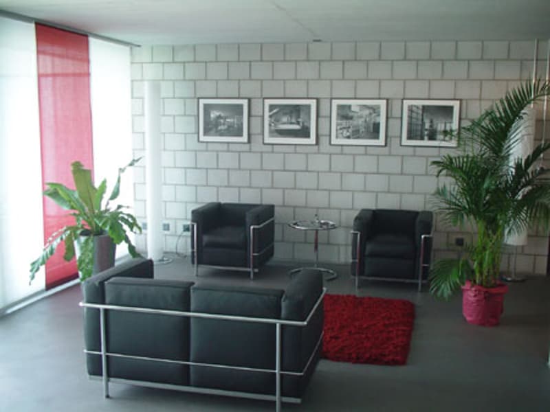 Moderne 3 1/2-Zimmer-Erdgeschoss-Loftwohnung mit Balkon in Steffisburg (2)