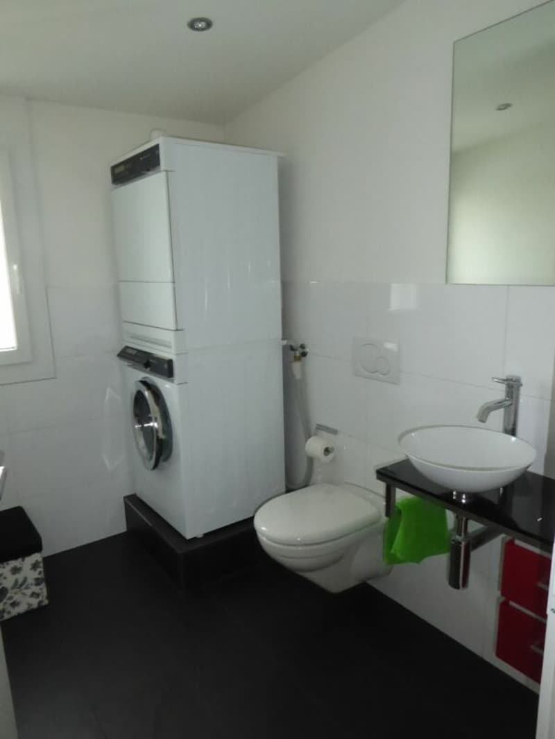 Grosse 3.5 Zimmer, Attikawohnung im Zentrum von Schötz (6)