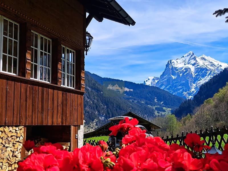 Wooden mountain chalet with large windows, surrounded by snow-capped mountains and red flowers in the foreground