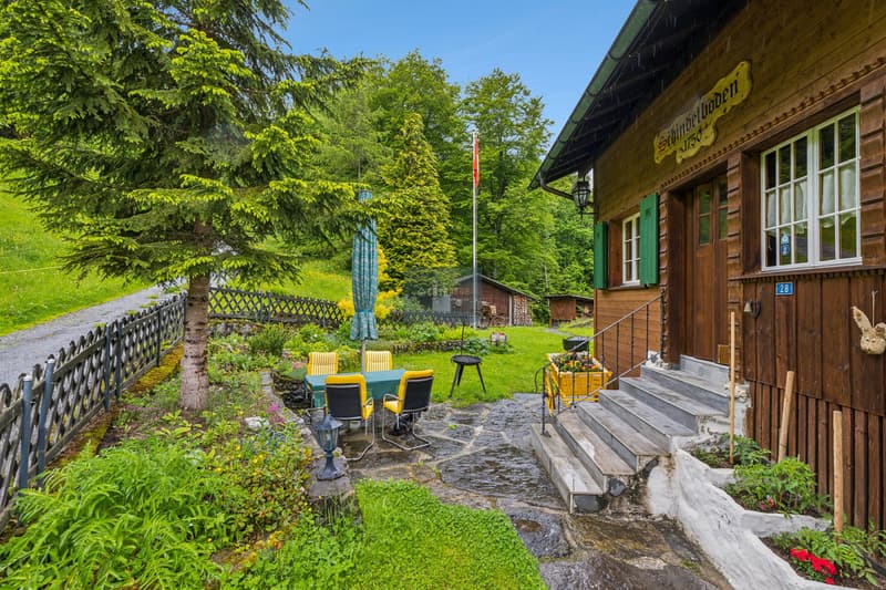 Rustic wooden cabin surrounded by lush greenery, with a patio area featuring yellow and green chairs, a small table, and steps leading up to the entrance. The cabin has a traditional wooden exterior and is situated in a forested area with tall pine trees.