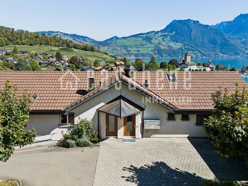 Superbe und unverbaubare Aussicht auf die Spiezer Bucht, die Berge und den See! (2)