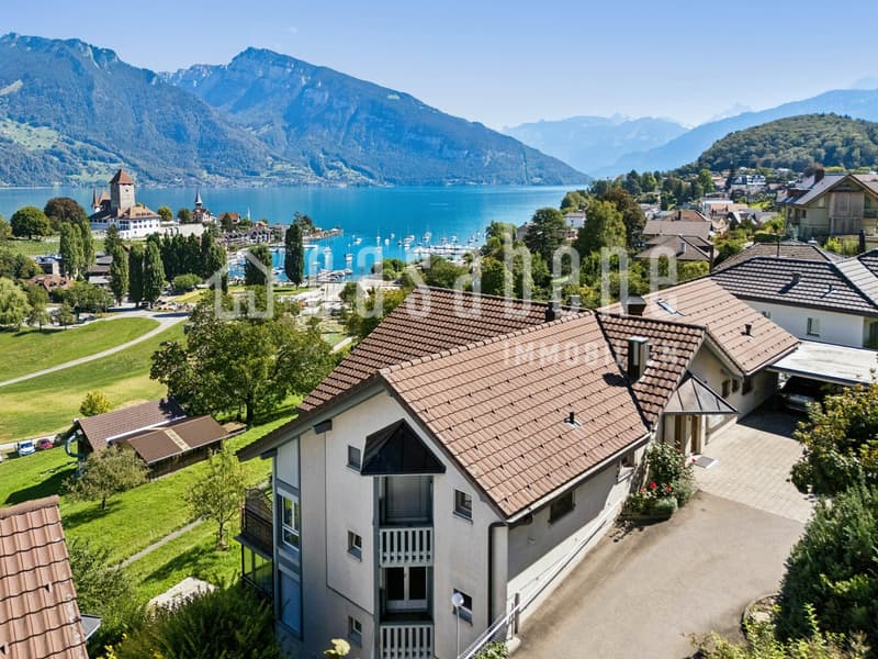 Superbe und unverbaubare Aussicht auf die Spiezer Bucht, die Berge und den See! (8)