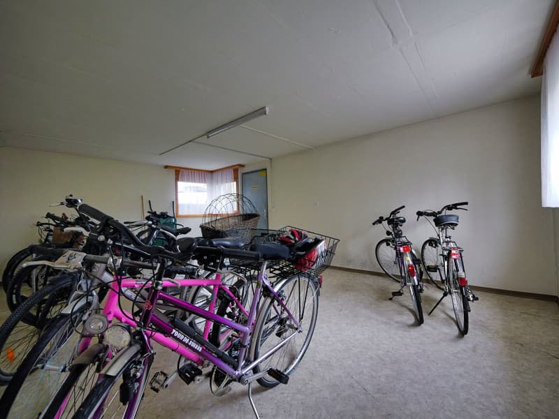 Charmant appartement duplex/maisonette de 4,5 pièces dans un quartier calme de Luterbach (22)