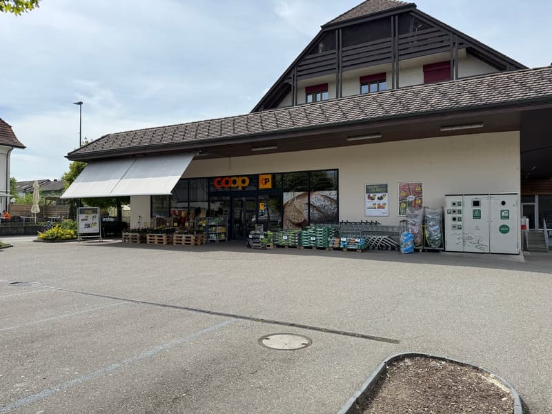 Charmant appartement duplex/maisonette de 4,5 pièces dans un quartier calme de Luterbach (29)