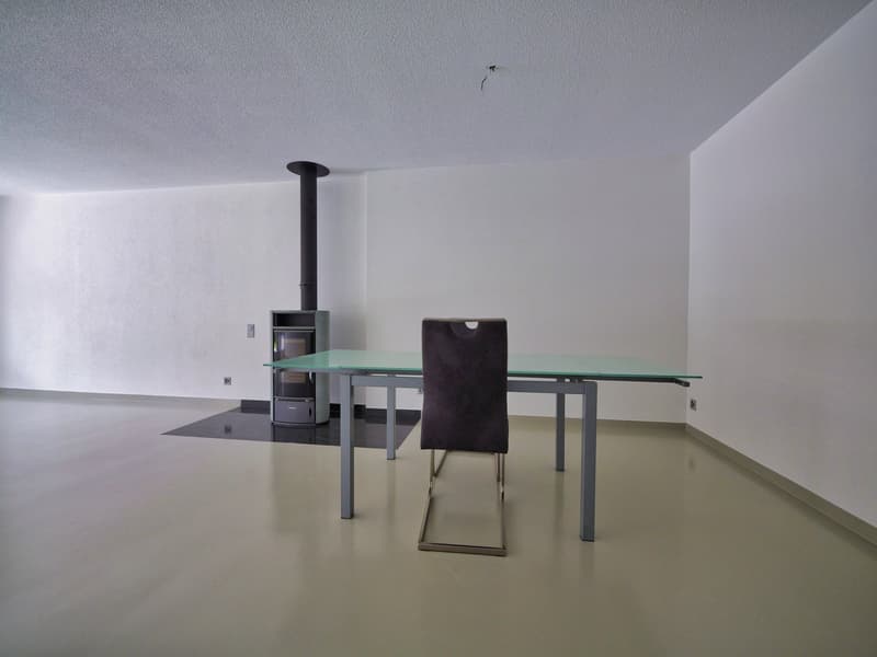 Charmant appartement duplex/maisonette de 4,5 pièces dans un quartier calme de Luterbach (18)