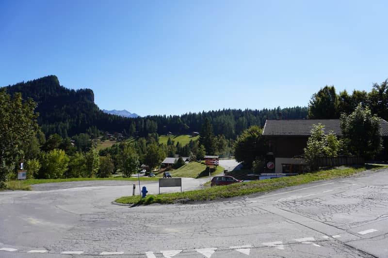 For sale, Restaurant, 1955 Mayens-de-Chamoson, Ref 5657270 (5)
