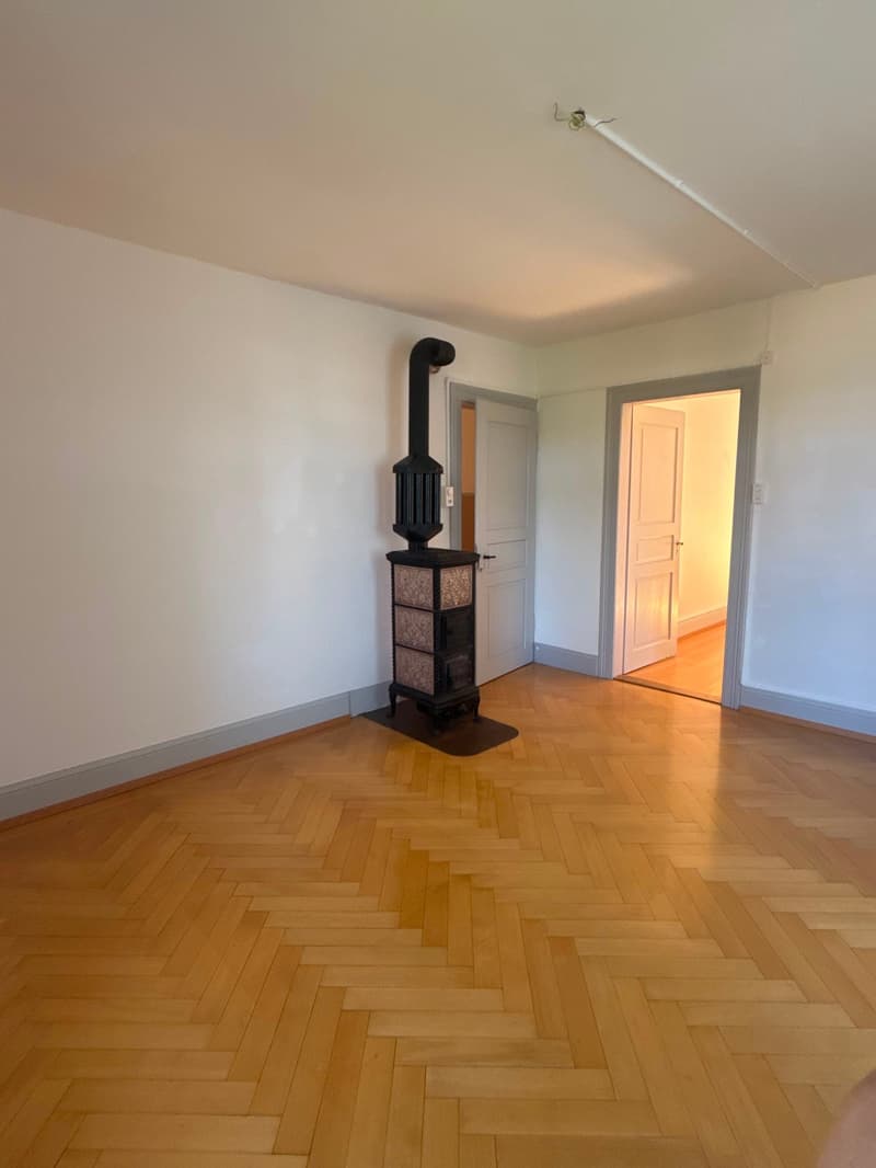 Charmante 4-Zimmer-Wohnung im ersten Stock in Baden (2)
