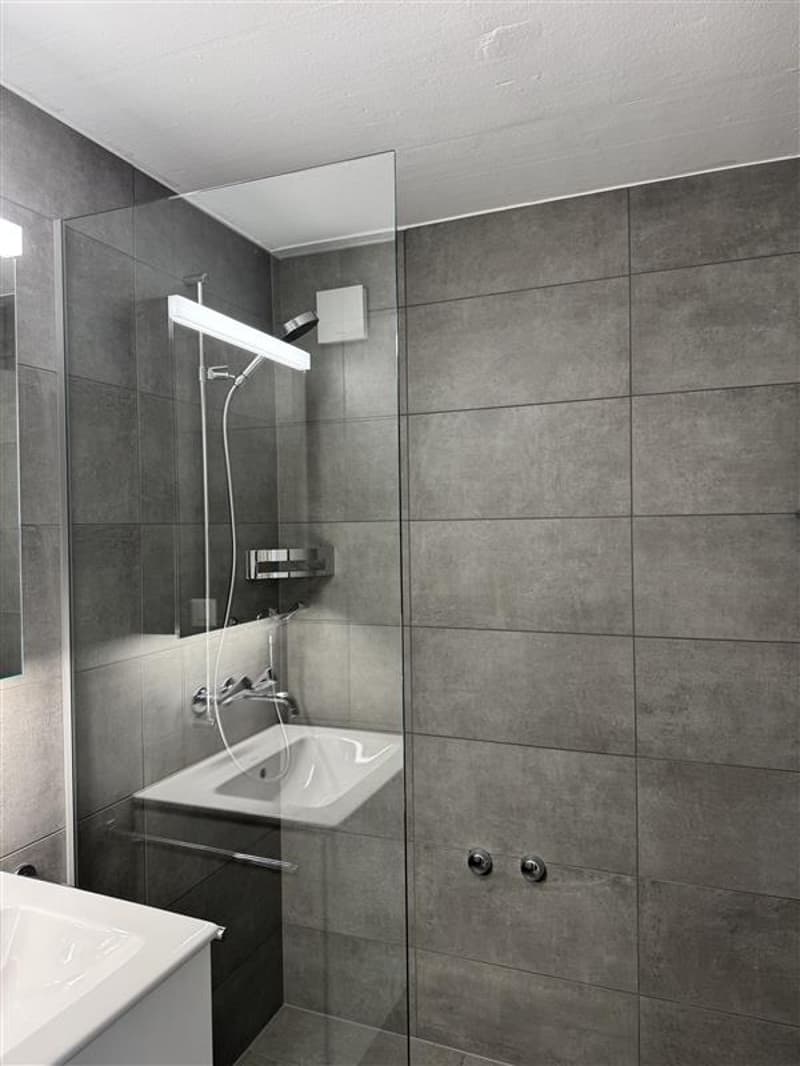 Moderne 3-Zimmer-Wohnung in Rütihof – frisch renoviert und ruhig gelegen (2)