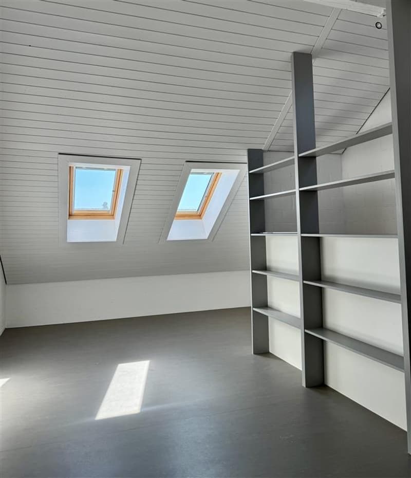 Moderne 3-Zimmer-Wohnung in Rütihof – frisch renoviert und ruhig gelegen (5)