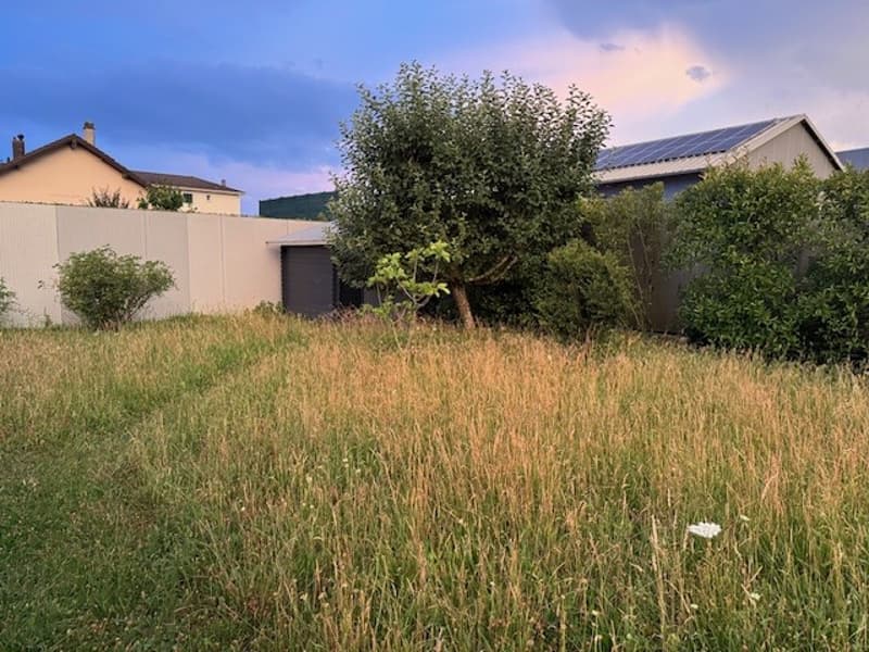Modernist villa for independents or creatives with multigenerational project (15)