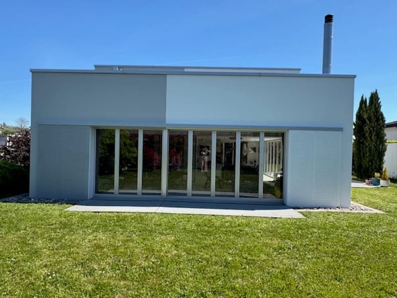 Modernist Villa of 2 Apartments + Commercial Spaces (12)
