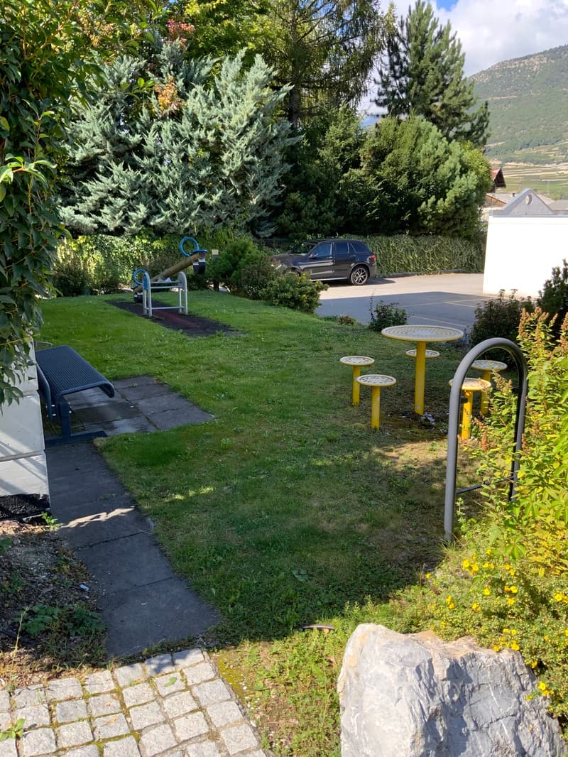À louer spacieux et bel appartement de 2,5 pièces (8)