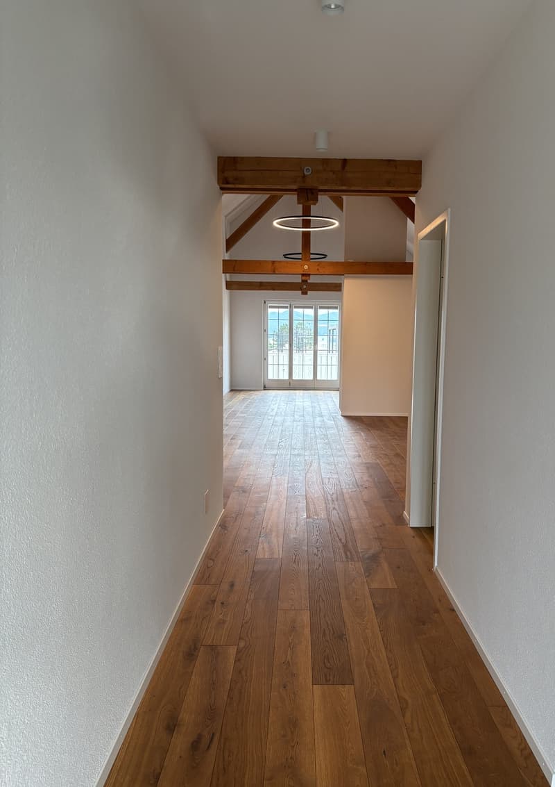 Exclusive 4.5-room attic apartment (180 m²) – First occupancy in Röschenz with panoramic views (2)
