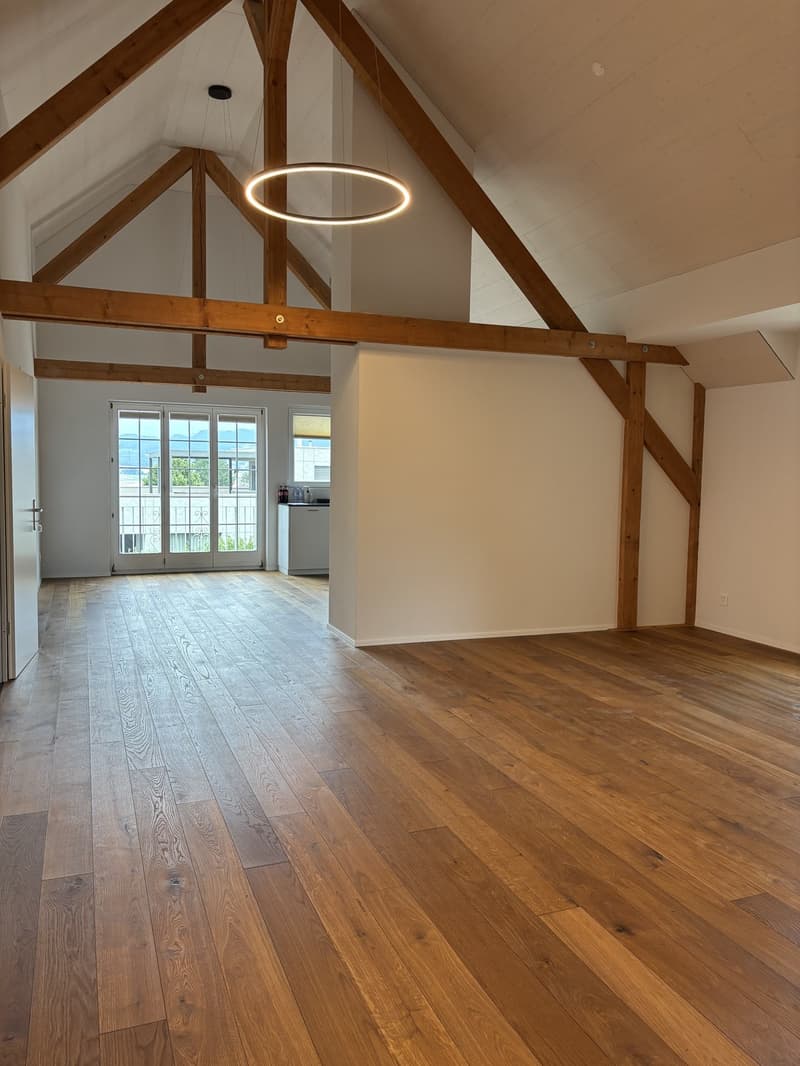 Exclusive 4.5-room attic apartment (180 m²) – First occupancy in Röschenz with panoramic views (1)