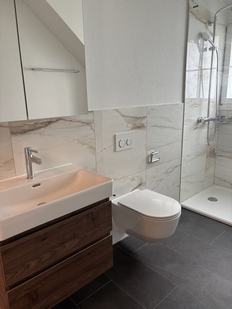 Exclusive 4.5-room attic apartment (180 m²) – First occupancy in Röschenz with panoramic views (8)