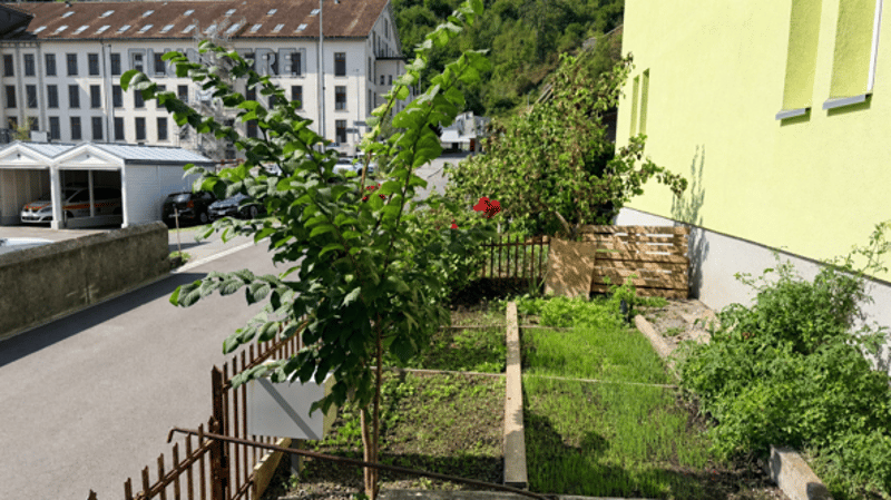 DEUX MÉNAGES DE 4,5 PIÈCES – HABITER ET LOUER À FLUMS (4)