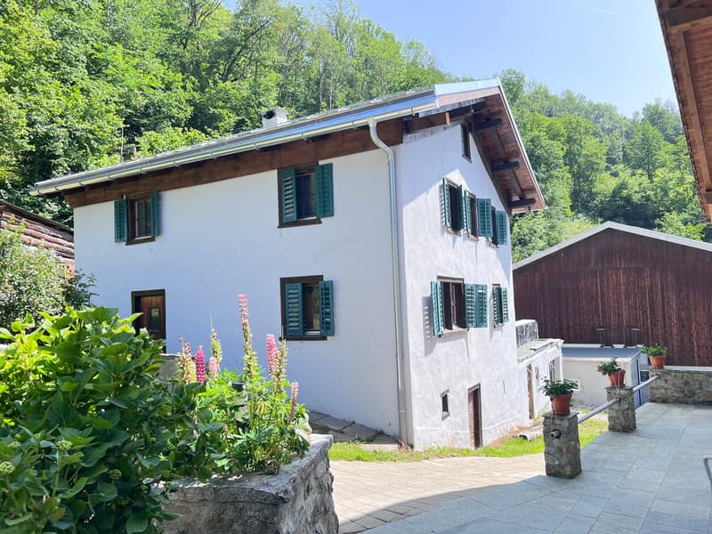 Charakterhaus mit viel Gestaltungspotenzial (1)