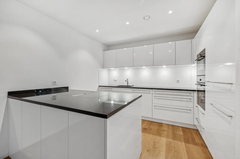 Modern, minimalist kitchen with white cabinets, black granite countertops, built-in appliances including a dishwasher, and hardwood flooring.
