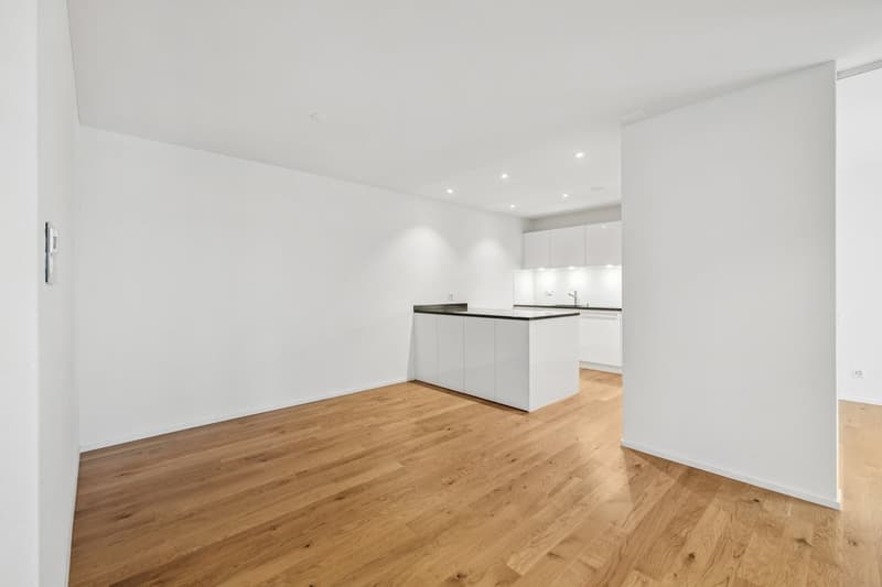 The image shows a modern, open-plan apartment with a kitchen and living area. The space features white walls, hardwood flooring, and recessed lighting. The kitchen has white cabinets and a countertop island. The room appears to be spacious and well-lit.