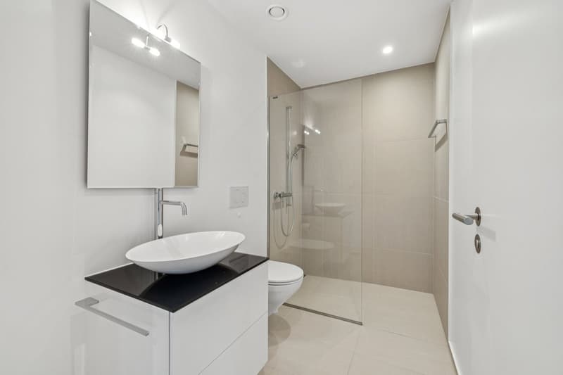 Modern bathroom with white walls, vessel sink, black countertop, mirror cabinet, and glass-enclosed shower area