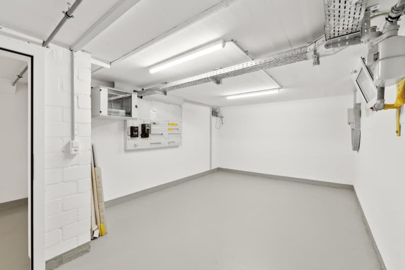 Maison unifamiliale modernisée avec cuisine de rêve & jardin – Wallbach (22)