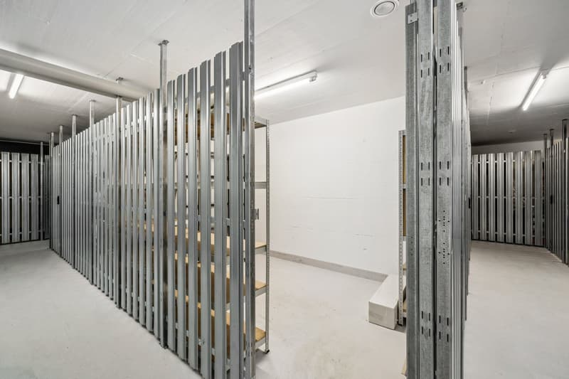 Lichtdurchflutete 3.5-Zimmer-Eigentumswohnung mit Wintergarten in Bottmingen (16)