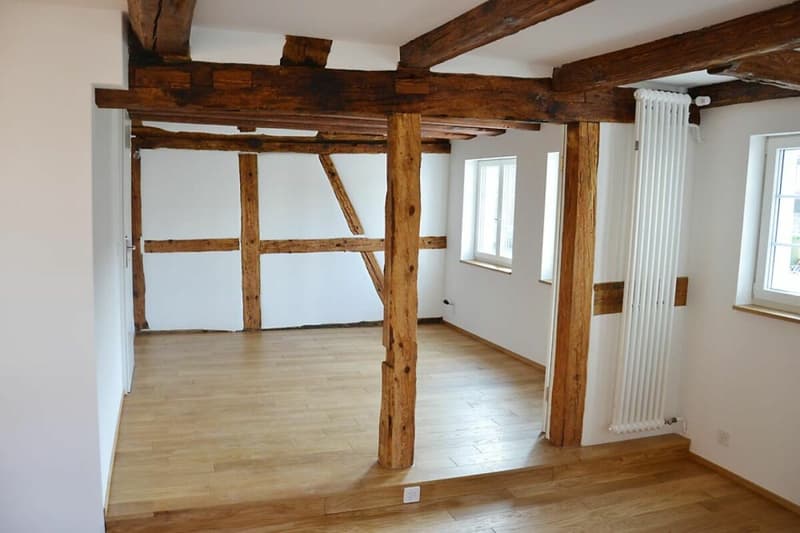 Maison de 3 générations, 7 pièces + 2 pièces + jardin. Noble, moderne, chic restauré, très lumineux, tout bio - ou : appartement de 7 pièces et bureau / appartement au pair de 2 pièces (13)