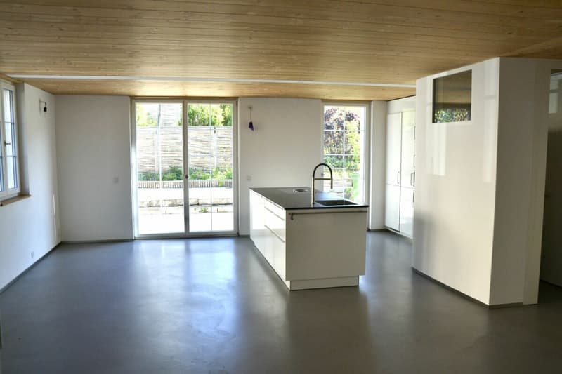 Maison de 3 générations, 7 pièces + 2 pièces + jardin. Noble, moderne, chic restauré, très lumineux, tout bio - ou : appartement de 7 pièces et bureau / appartement au pair de 2 pièces (5)