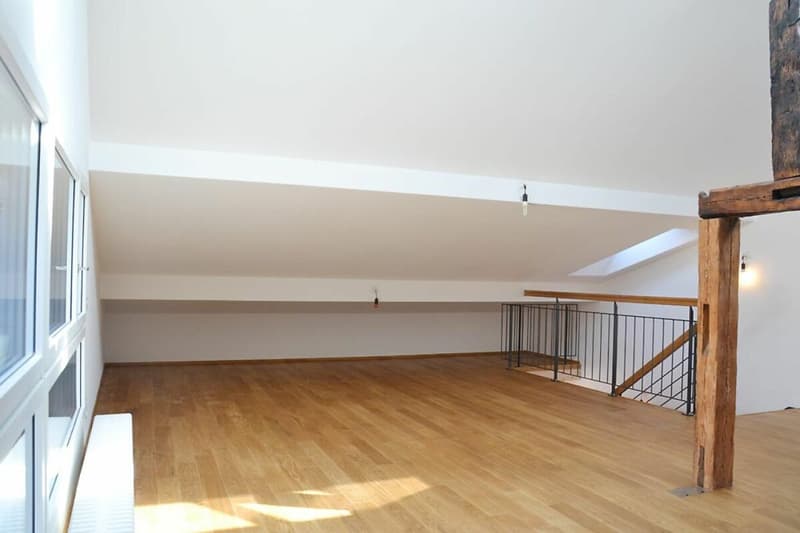 Maison de 3 générations, 7 pièces + 2 pièces + jardin. Noble, moderne, chic restauré, très lumineux, tout bio - ou : appartement de 7 pièces et bureau / appartement au pair de 2 pièces (12)